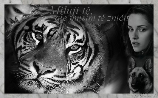 Miluji t, ale musm t zniit