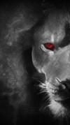 Doughter of the Lion